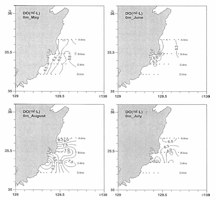 동해남부 표층 용존산소 농도 분포 (2013년 5월 하순，6월 중순, 7월 하순 및 8월 초순)