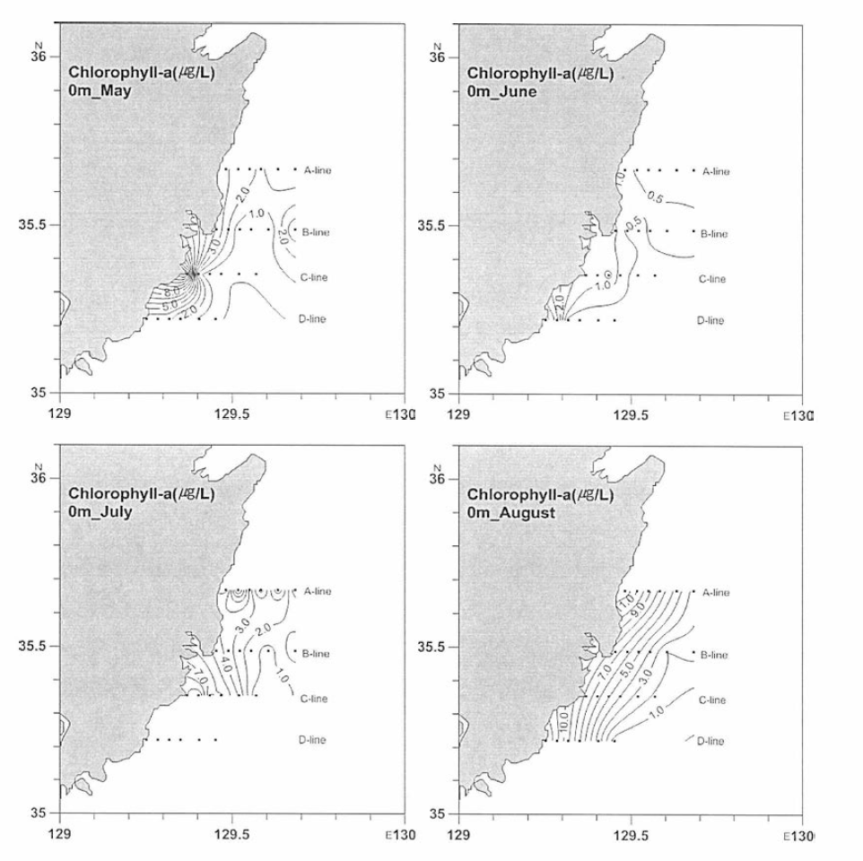 동해남부 표층 엽록소 농도 분포 (2013년 5월 하순, 6월 중순, 7월 하순 및 8월 초순)