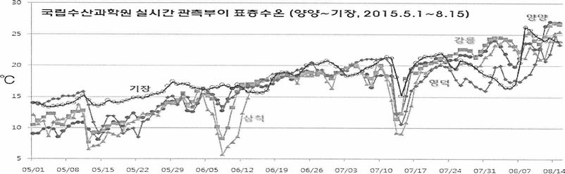 2015년 국립수산과학원 실시간 부이에 의한 양양〜기장의 표층수온 변동 경향