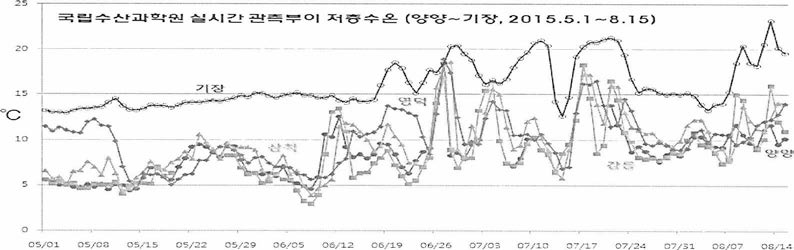 2015년 국립수산과학원 실시간 부이에 의한 양양-기장의 저층수온 변동 경향