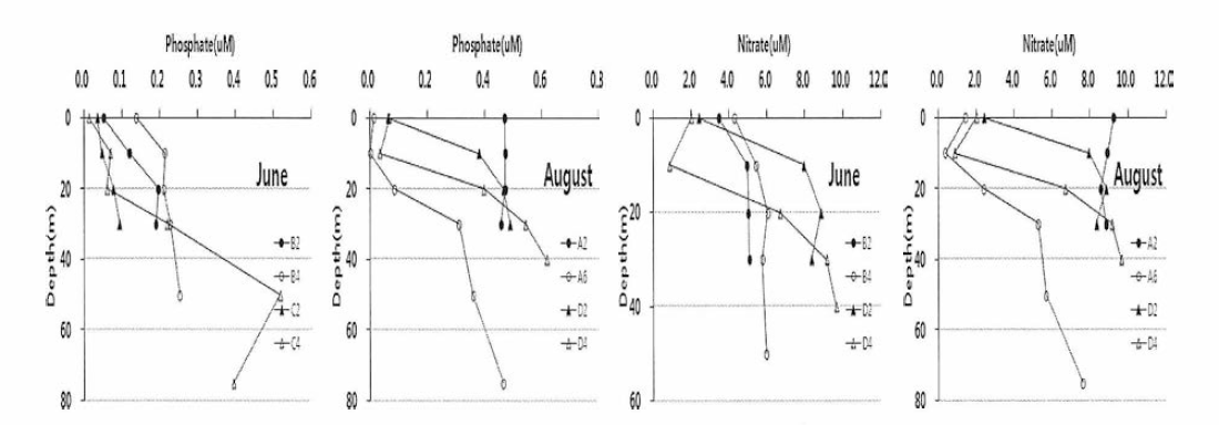 진도냉수대 영양염 연직 분포 (2013년 6，8월)