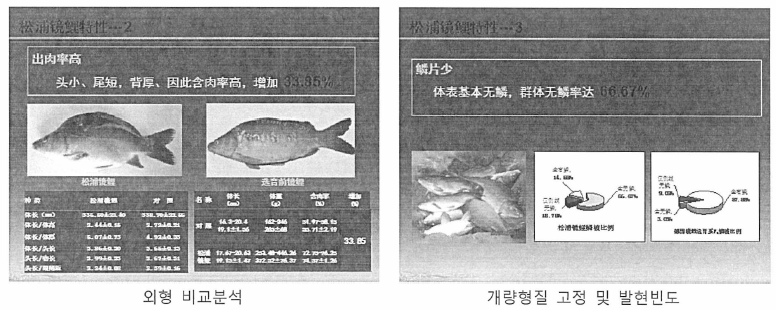 중국 개량품종 획득형질 기초 자료 (흑롱강수산연구소)