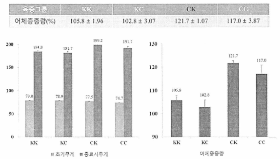 교배그룹에 따른 향어치어의 총 증중량