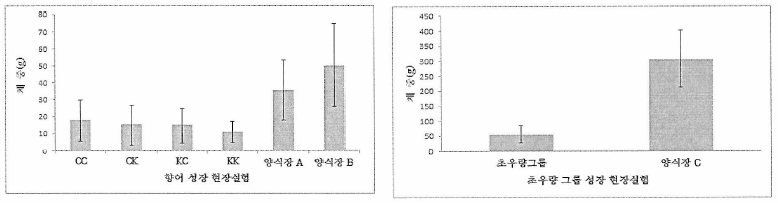 양식현장에서 교배그룹(좌) 및 초무량그룹(우)의 성장도