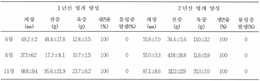 외해양식어장 청사해역에 이식한 1년산 및 2년산 멍게 양성시험