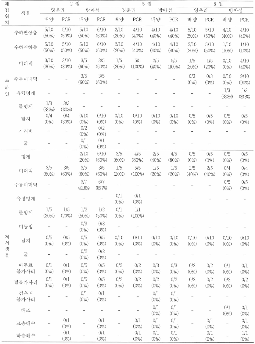 2015년 양식장 서식생물 배양검사, PCR검사