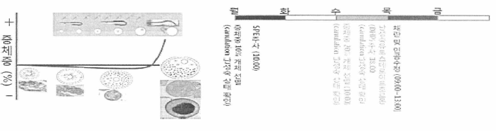 증체중에 따른 성숙난 형태변화와 성성숙 유도 및 채란일정