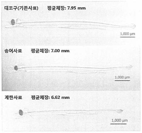 곱상어알 대체사료 적용실험 종료후 개체 사진