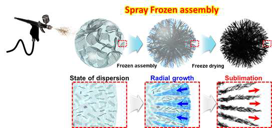 분무동결조립공정의 구조 형성 과정