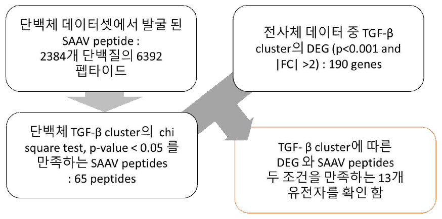 TGF-β에 의해 조절되는 그룹간에서 유의미한 SAAV peptides 발굴