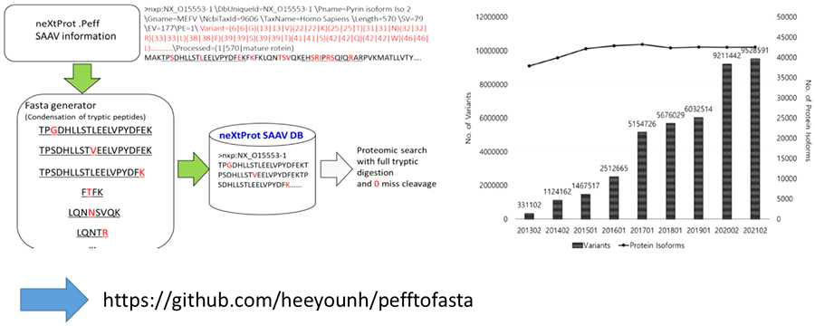 변이단백질 데이터베이스 구축 과정