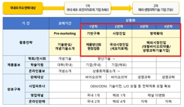 단계별 시장 확대 전략 개요