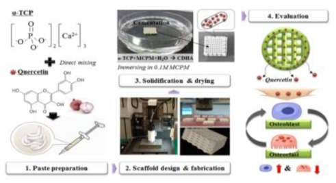 Phytochemical을 포함하는 바이오세라믹 지지체 3D프린팅 공정