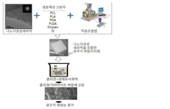 공침법에 의해 골재생 유도능이 향상된 지지체 제조공정