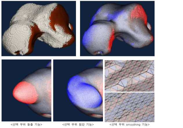 Mask와 3D 모델의 거리 차 가시화 렌더링 등 SW 대표 기능