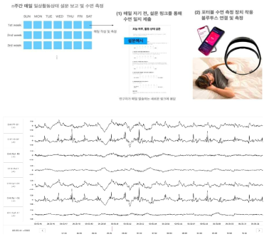 수면 활동 모니터링에 관한 연구 수행