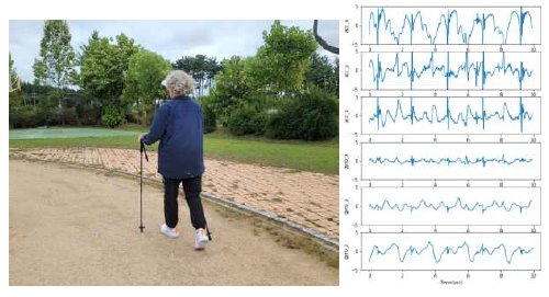 노인 걷기 데이터 수집 현장 및 시계열 패턴