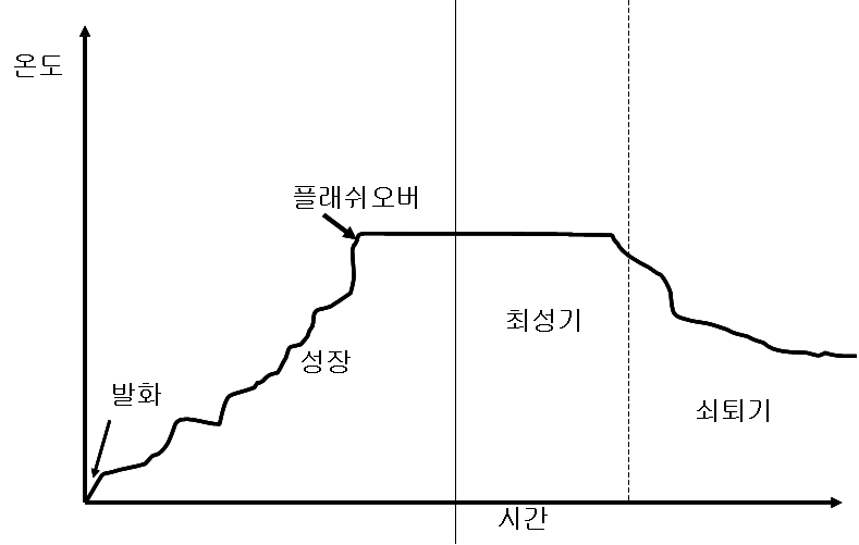 폐쇄 공간 내의 화재진행 단계