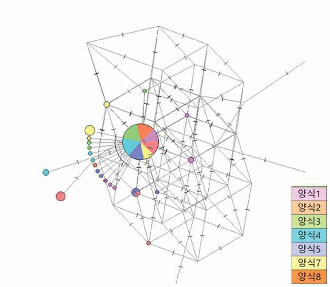 7개 업체 큰산개구리 102개체 COI 유전자에 대한 network tree