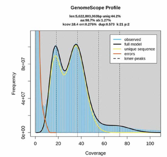 GenomeScope(K=21)을 이용한 무당개구리 유전체 예즉 결과