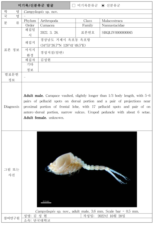 수중 미탐사 서식지(조하대 암반지대)를 통해 발굴된 자생동물 발굴표(계속)