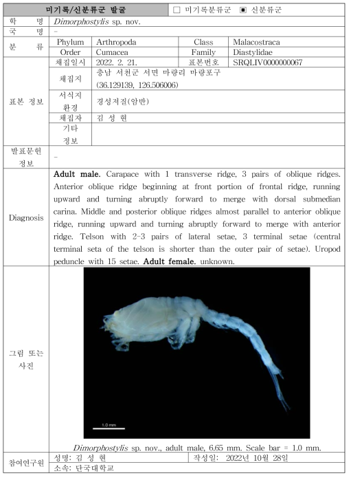 수중 미탐사 서식지(조하대 암반지대)를 통해 발굴된 자생동물 발굴표(계속)