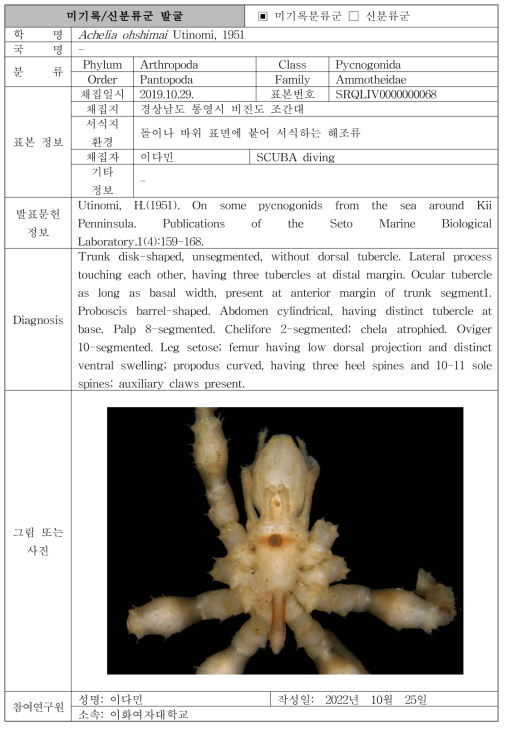 수중 미탐사 서식지(조하대 암반지대)를 통해 발굴된 자생동물 발굴표(계속)