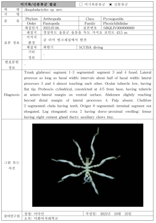 수중 미탐사 서식지(조하대 암반지대)를 통해 발굴된 자생동물 발굴표(계속)