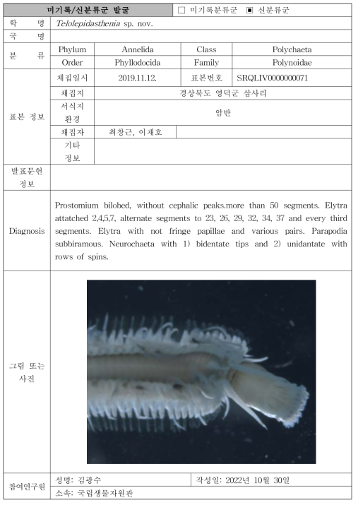 수중 미탐사 서식지(조하대 암반지대)를 통해 발굴된 자생동물 발굴표(계속)