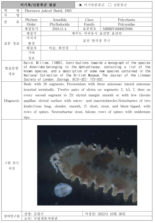 수중 미탐사 서식지(조하대 암반지대)를 통해 발굴된 자생동물 발굴표(계속)