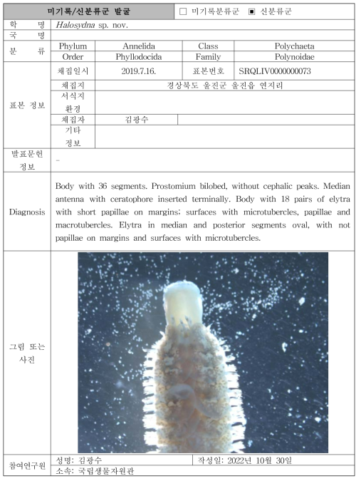 수중 미탐사 서식지(조하대 암반지대)를 통해 발굴된 자생동물 발굴표(계속)