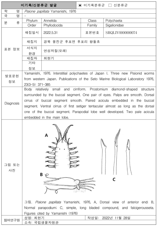 수중 미탐사 서식지(연성기질)를 통해 발굴된 자생동물 발굴표