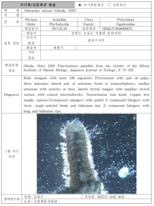 주요 관심 서식지(연안 조간대)를 통해 발굴된 자생동물 발굴표