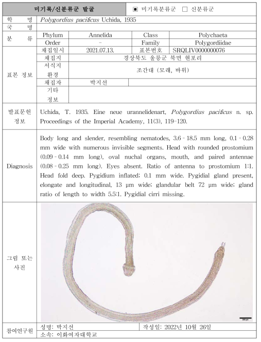 주요 관심 서식지(연안 조간대)를 통해 발굴된 자생동물 발굴표(계속)