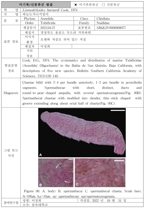 주요 관심 서식지(연안 조간대)를 통해 발굴된 자생동물 발굴표(계속)