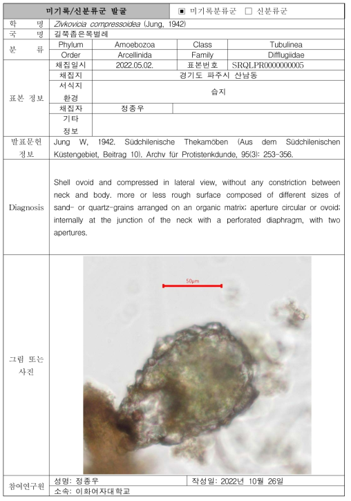 주요 관심 서식지(담수 하천, 저수지)를 통해 발굴된 자생동물 발굴표(계속)