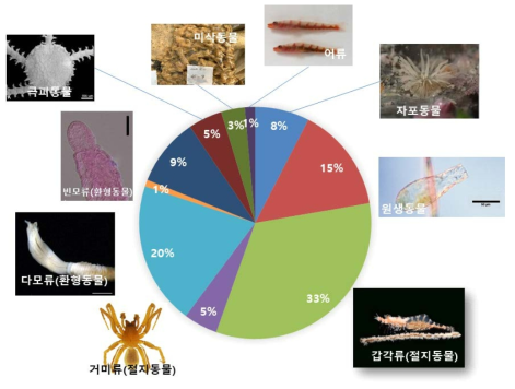 2018년∼2022년 분류군별 신규 자생종 발굴 비율