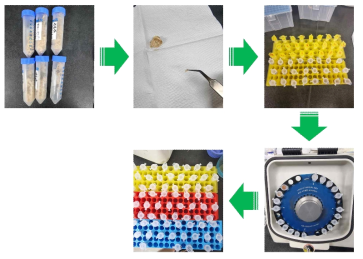 채집한 목재칩 샘플 DNA 추출 과정