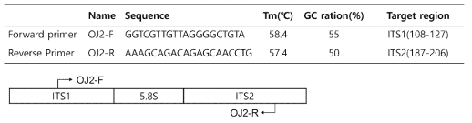 화경버섯 특이적 프라이머 정보(위) 및 ITS 영역에서의 위치(아래)