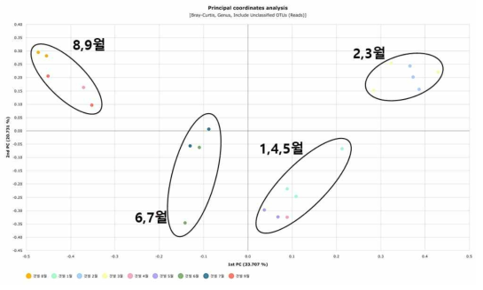안면도 갯벌 마이크로바이옴의 군집유사도