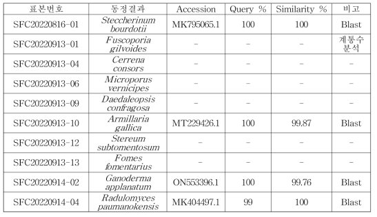 서어나무 자생 균류 동정 결과