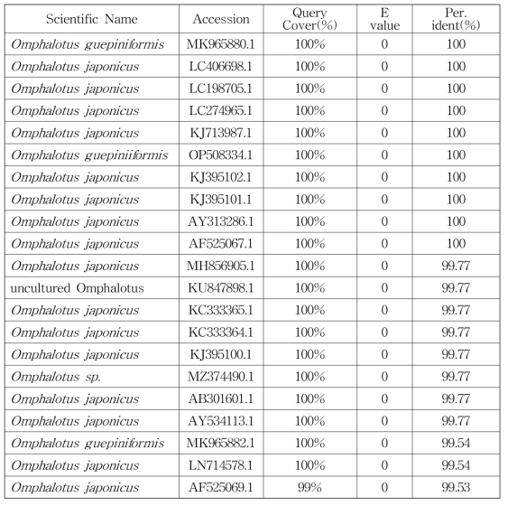 화경버섯 특이적 마커를 통해 증폭된 화경버섯 유전자의 NCBI blast 결과