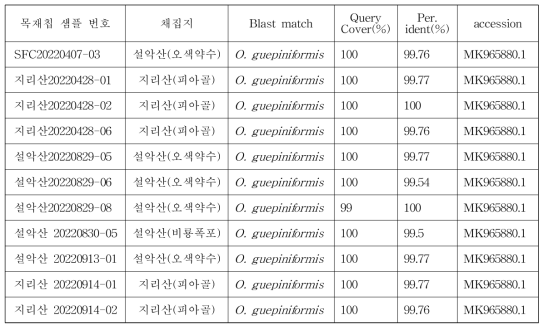 목재칩에서 확인된 화경버섯 DNA의 분석 결과