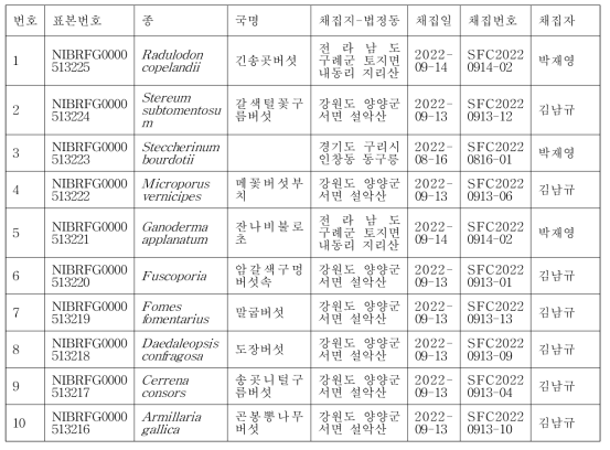 서어나무로부터 유래한 버섯 건조 표본