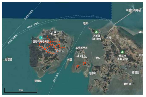 조사지: 인천 옹진군 영흥면(영흥도, 선재도) (출처:국토정보지리원)