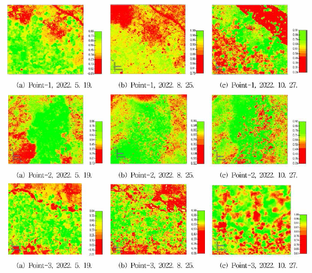지점별 정규식생지수 산출 영상