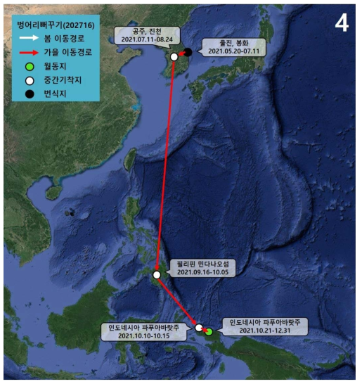 벙어리뻐꾸기(ID 202716)의 이동경로