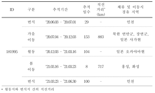 검은머리갈매기의 이동경로 위치추적 결과