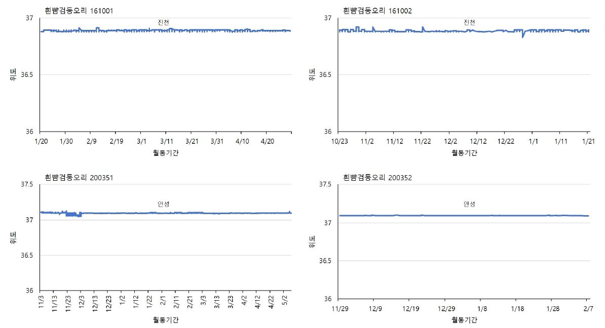 흰뺨검둥오리 개체별 국내 월동기간 위도 변화