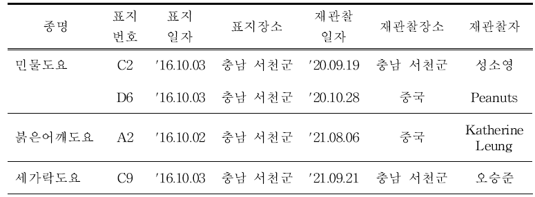 국내에서 재관찰된 국내 부착 도요‧물떼새류 컬러플랙